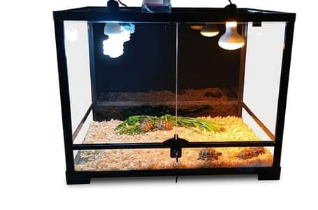 terrarium for sale