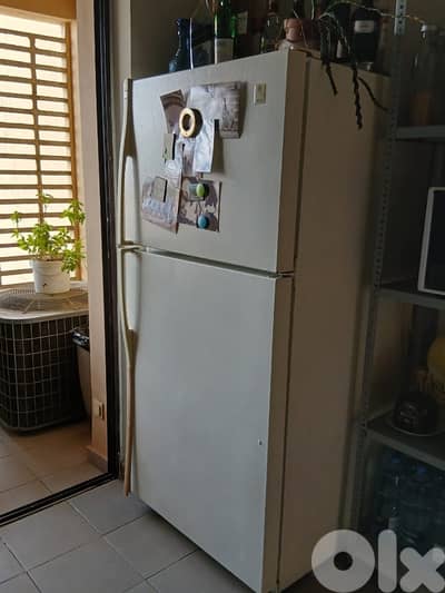 fridge