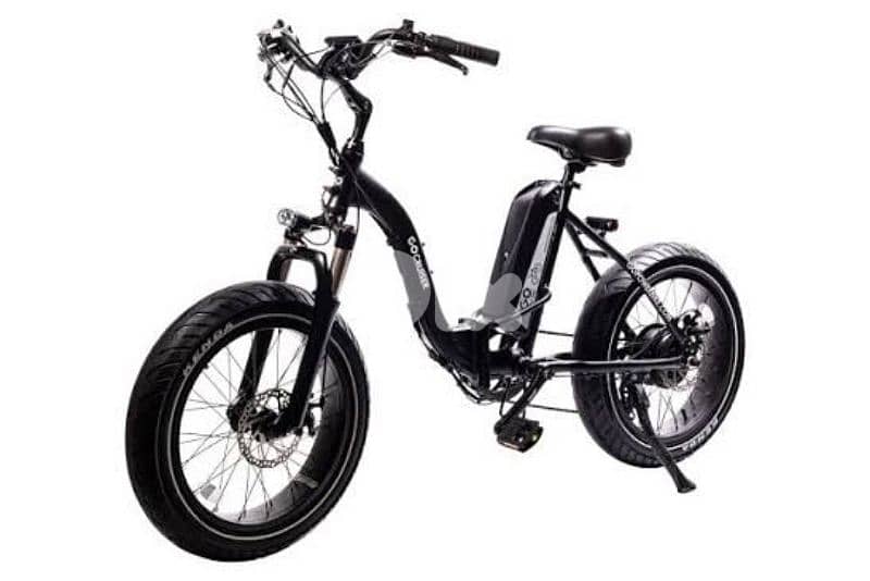 GoCruiser 750W Ebike 1