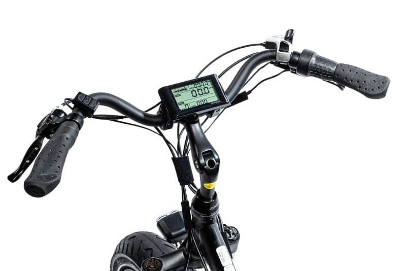 GoCruiser 750W Ebike 4