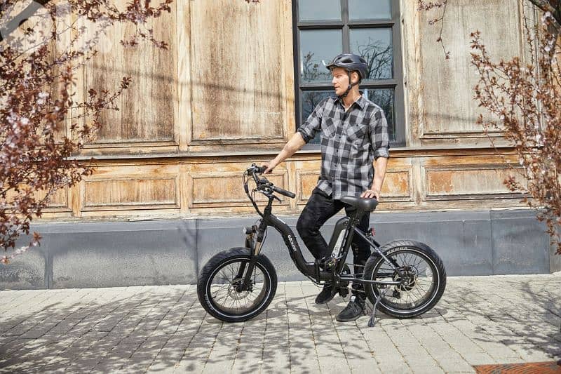 GoCruiser 750W Ebike 7