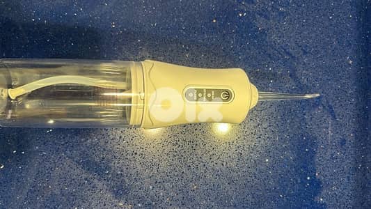 water flosser / oral irrigator