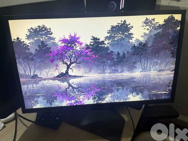 benq 240hz xl2546K monitor 2