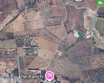 Land for sale in  Koura - Amioun /أميون- الكورة REF#RL133615