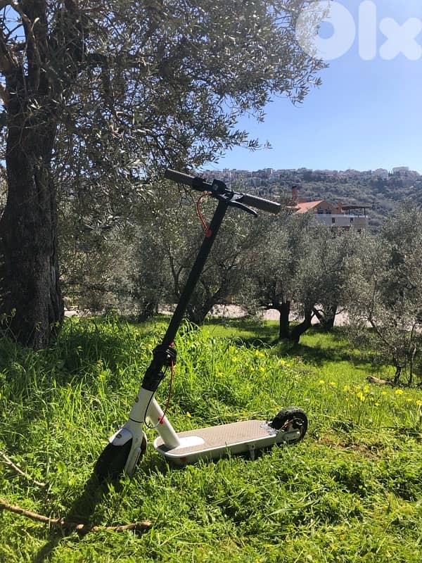 eletric scooter 1