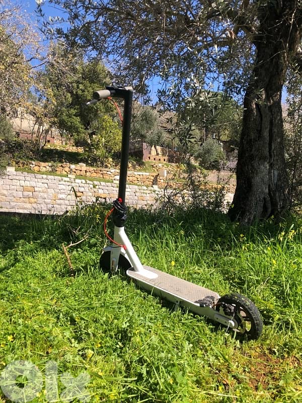 eletric scooter 2