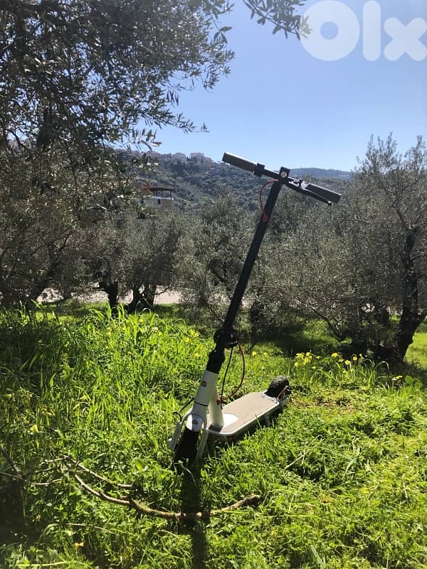eletric scooter 3
