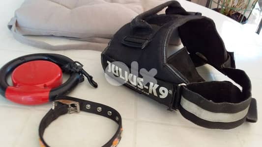 Dog collar and harnesses