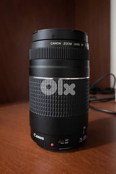 Canon ef 75-300mm lens