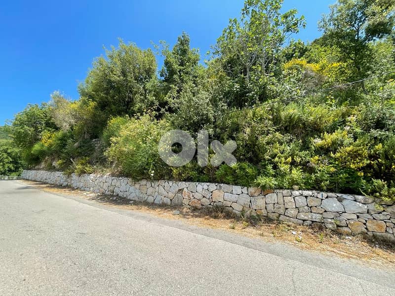 RWK124CA - Land for Sale in Ghbeleh with an Amazing View! 2