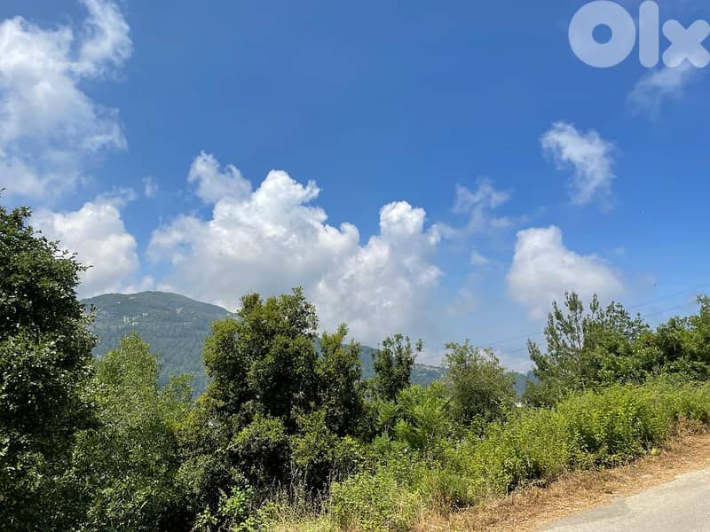 RWK124CA - Land for Sale in Ghbeleh with an Amazing View! 4