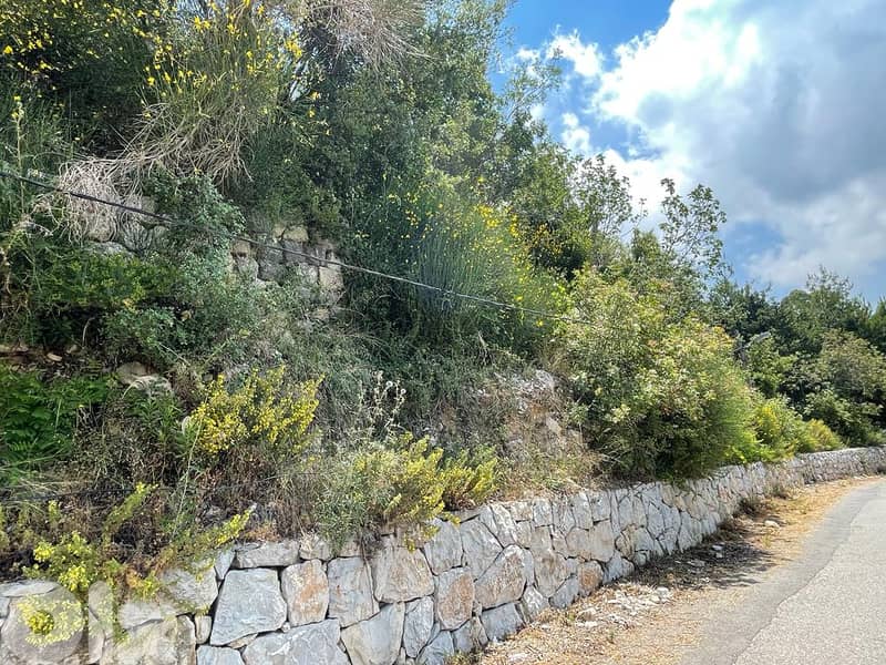 RWK124CA - Land for Sale in Ghbeleh with an Amazing View! 5