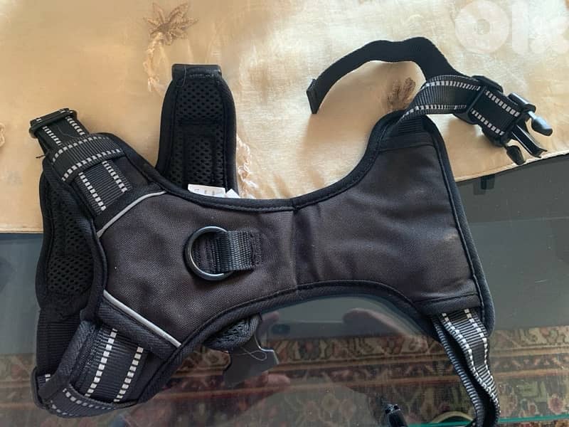 Retractable Dog Leash 3