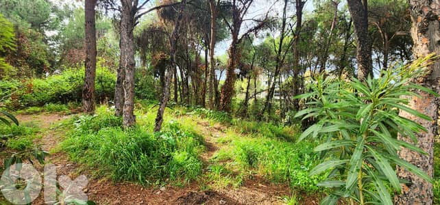 Land for sale in Rabieh/ View