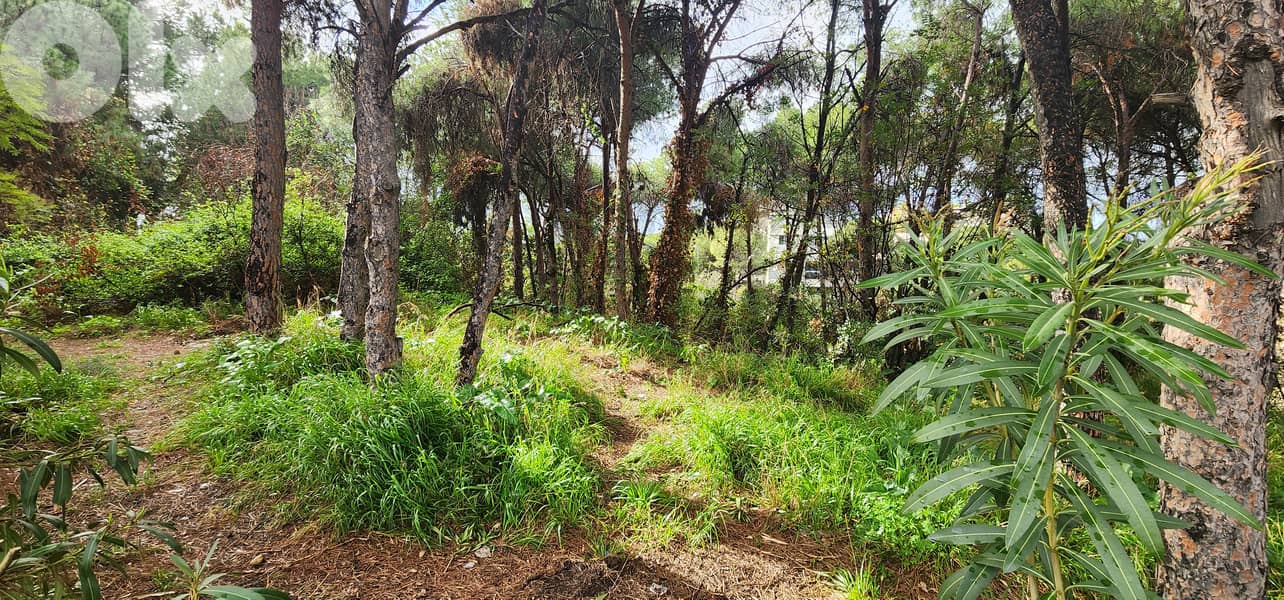 Land for sale in Rabieh/ View 1