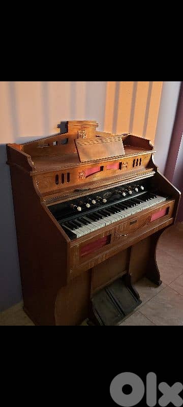 عكار العبده