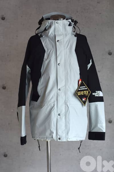 The North Face 1994 Retro Mountain Light GORE-TEX Jacket