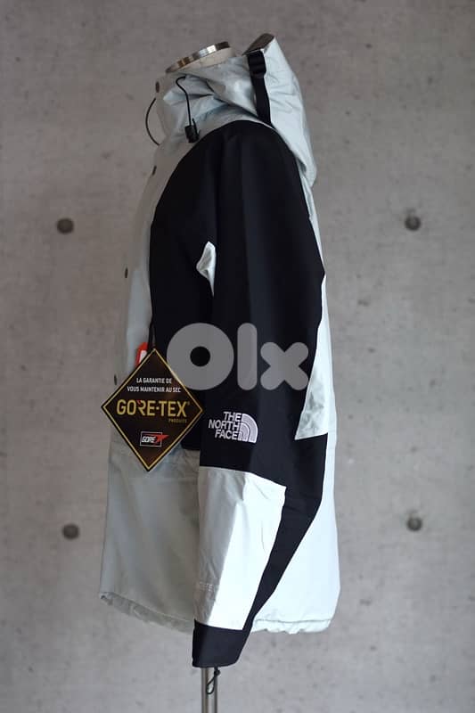 The North Face 1994 Retro Mountain Light GORE-TEX Jacket 1