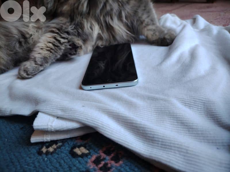 one plus nord 3 5g 5