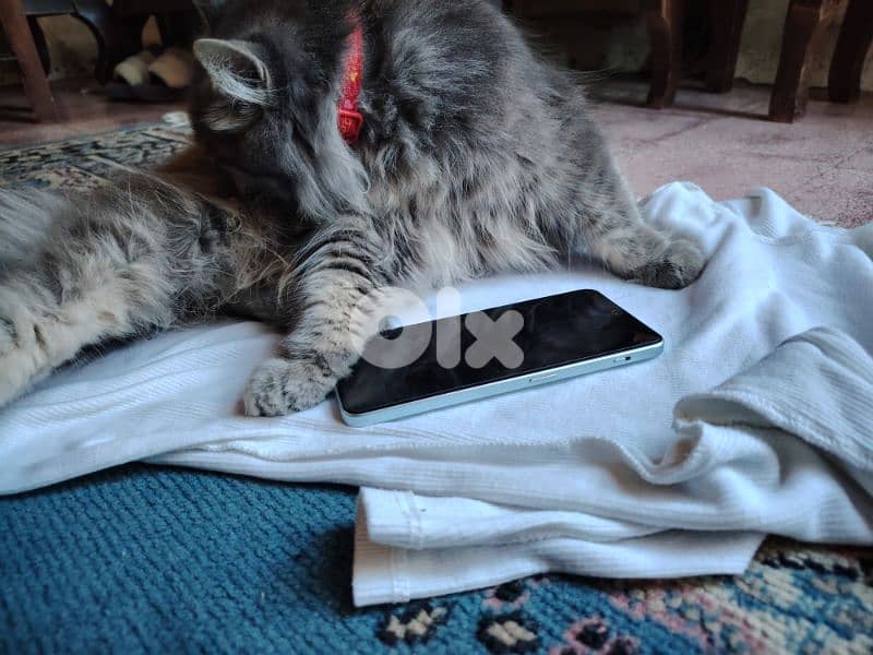 one plus nord 3 5g 7