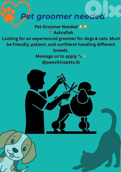 pet groomer needed