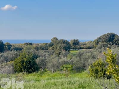 Hamat Sea View Land - أرض بإطلالة بحرية في حامات