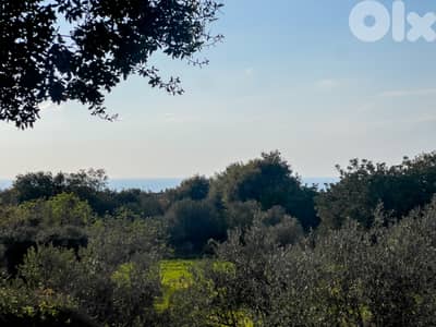 Hamat Sea View Estate - أرض واسعة بإطلالة بحرية في حامات