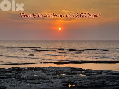 Hamat Hannouch Seafront Land - أرض بحرية مباشرة في حامات حنوش