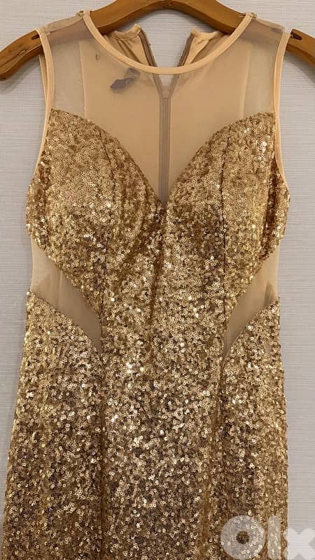 gold dress 4