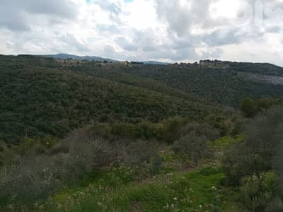Batroun Hills Land - أرض بإطلالة بحر وجبل قرب البترون