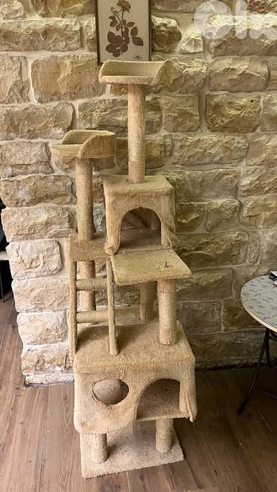 Cat Tree