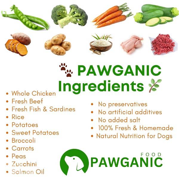 fresh food for dogs 2