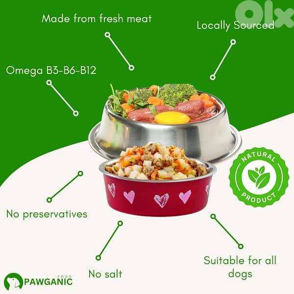 fresh food for dogs 3