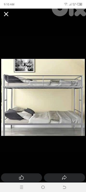 تخوتي اوروبي مزرعة يشوع