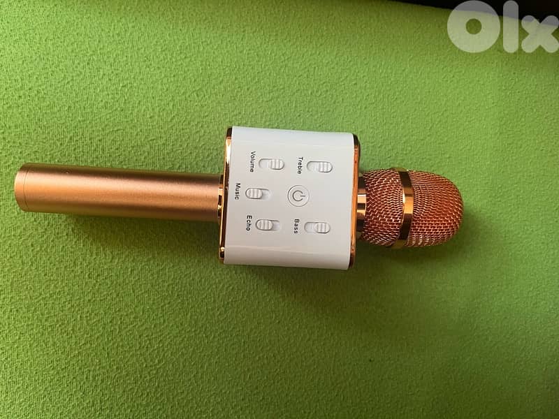 Speaker Microphone 1