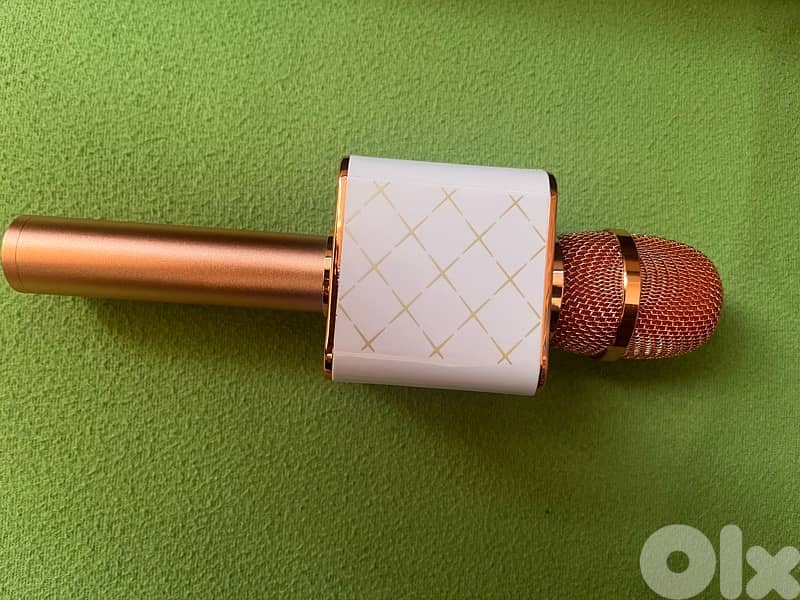 Speaker Microphone 2