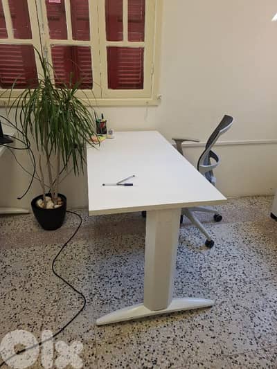 بيروت بدارو