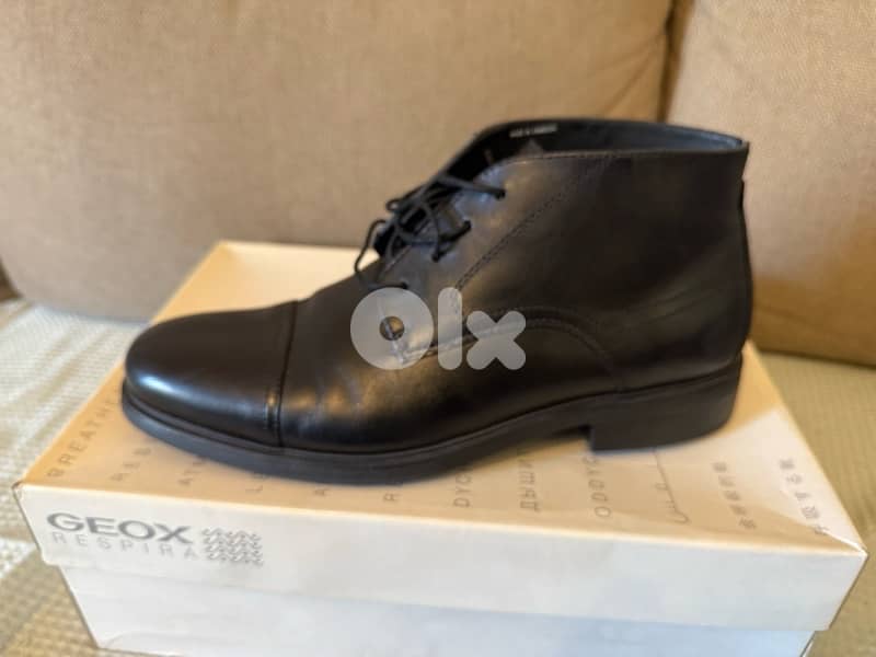 Geox formal shoes 1
