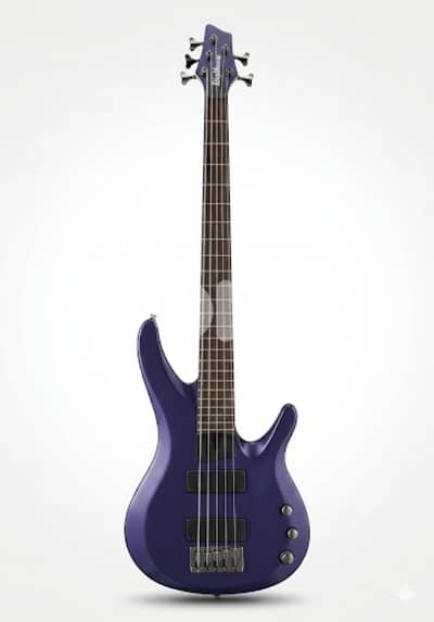 Washburn BB-5  5 strings bass