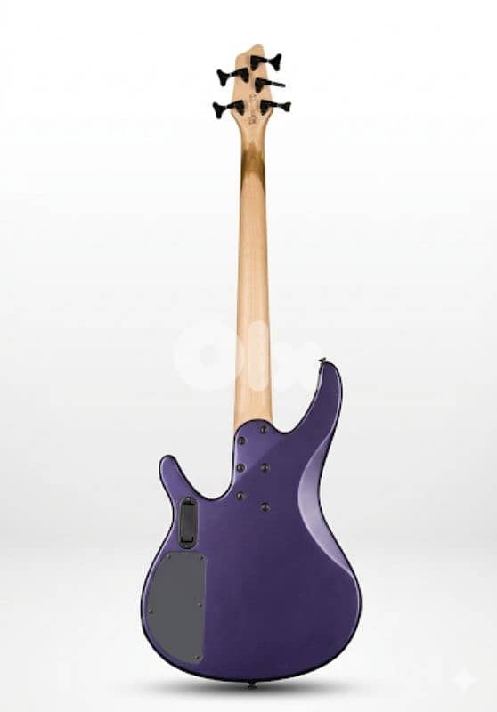 Washburn BB-5  5 strings bass 1