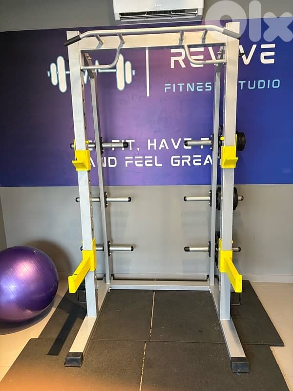Dual V cable and squat rack 2