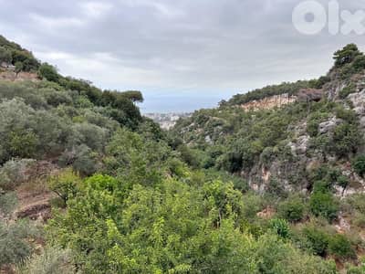 land for sale Nabay hot deal