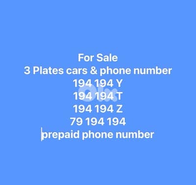 3 plates number & phone number