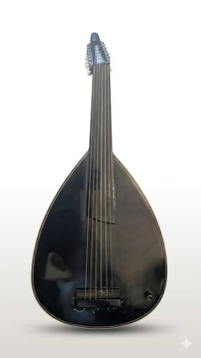 electric oud
