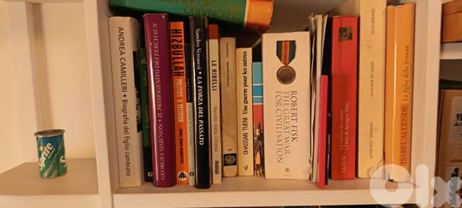 Collection of 19 Italian Books - Fiction, Cooking & Classics