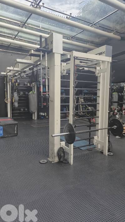 queenax functional training station