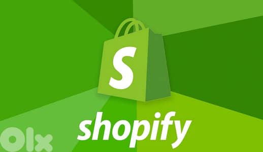 Professional Shopify & E-Commerce Store Development