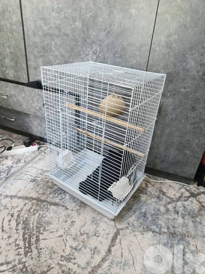 bird cage