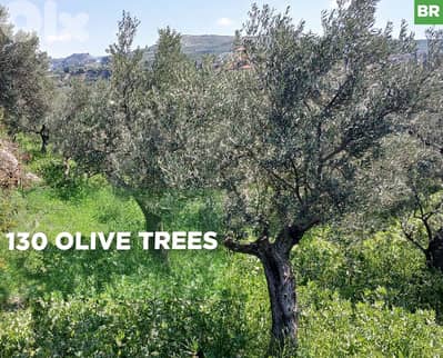 serene, picturesque setting, zakroun, koura/زكرون، كورة REF#BR133816