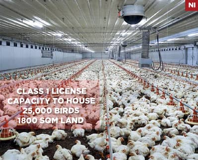 Fully equipped and operational,poultry farm, Jbeil /جبيل  REF#NI133828